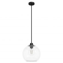 Hunter 19512 - Hunter Xidane Matte Black with Clear Glass 1 Light Pendant Ceiling Light Fixture